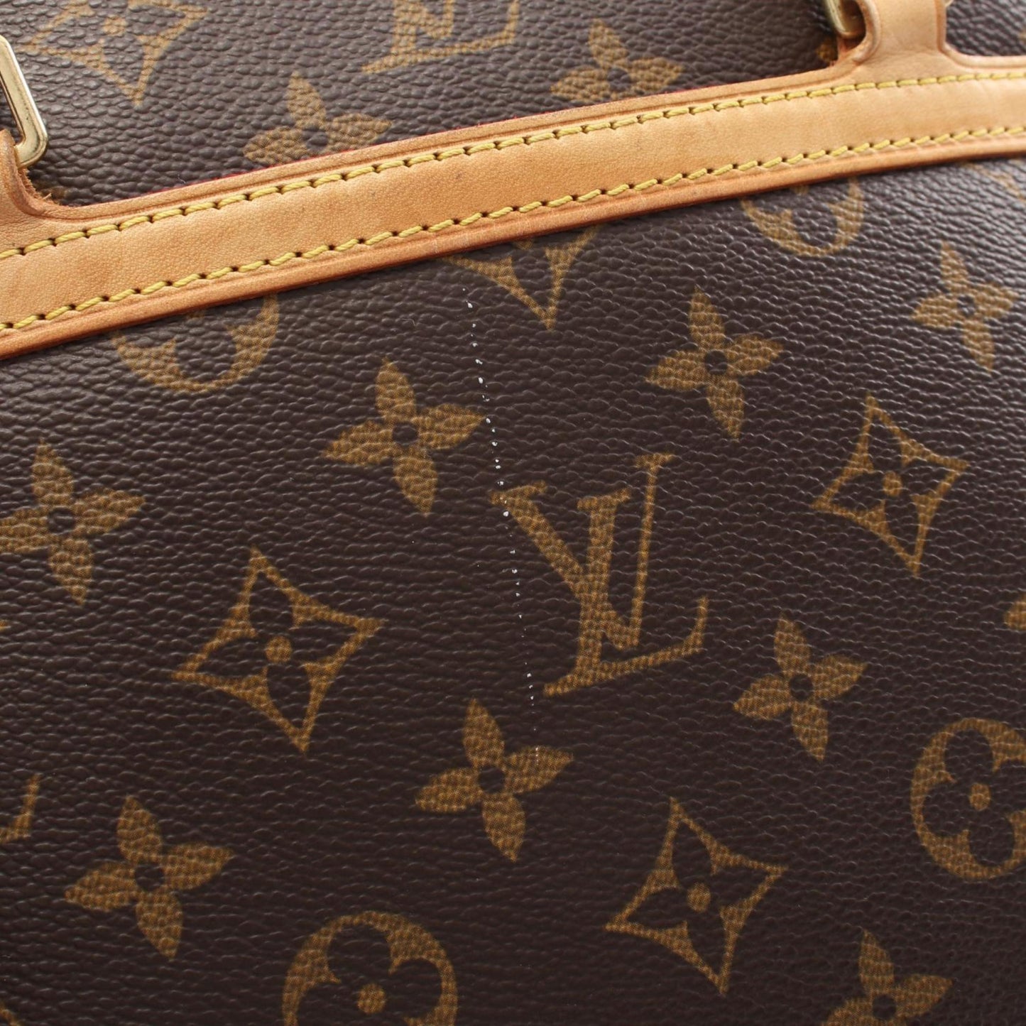 Louis Vuitton Brown Canvas Coussin
