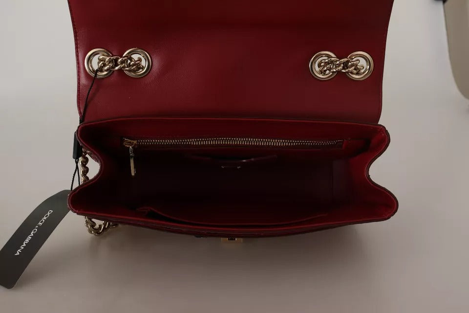 Dolce & Gabbana Pink Red Exotic Skins Gold Chain Purse Lucia Leather Bag