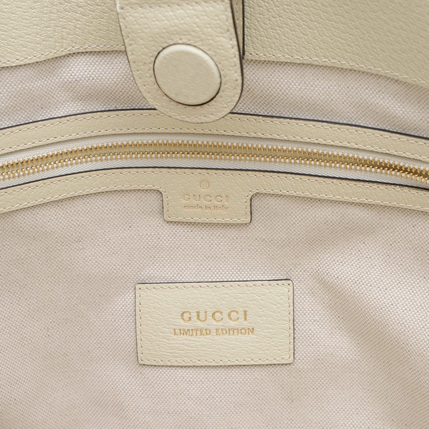 Gucci Brown Canvas Ophidia