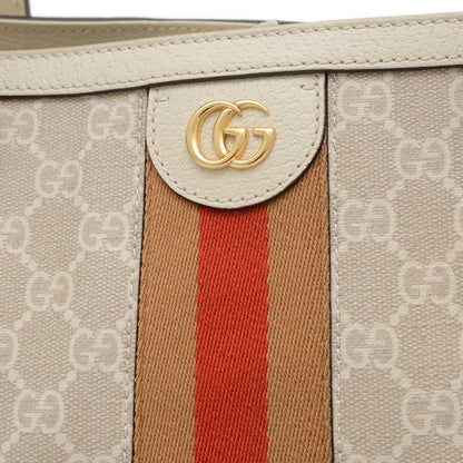 Gucci Brown Canvas Ophidia
