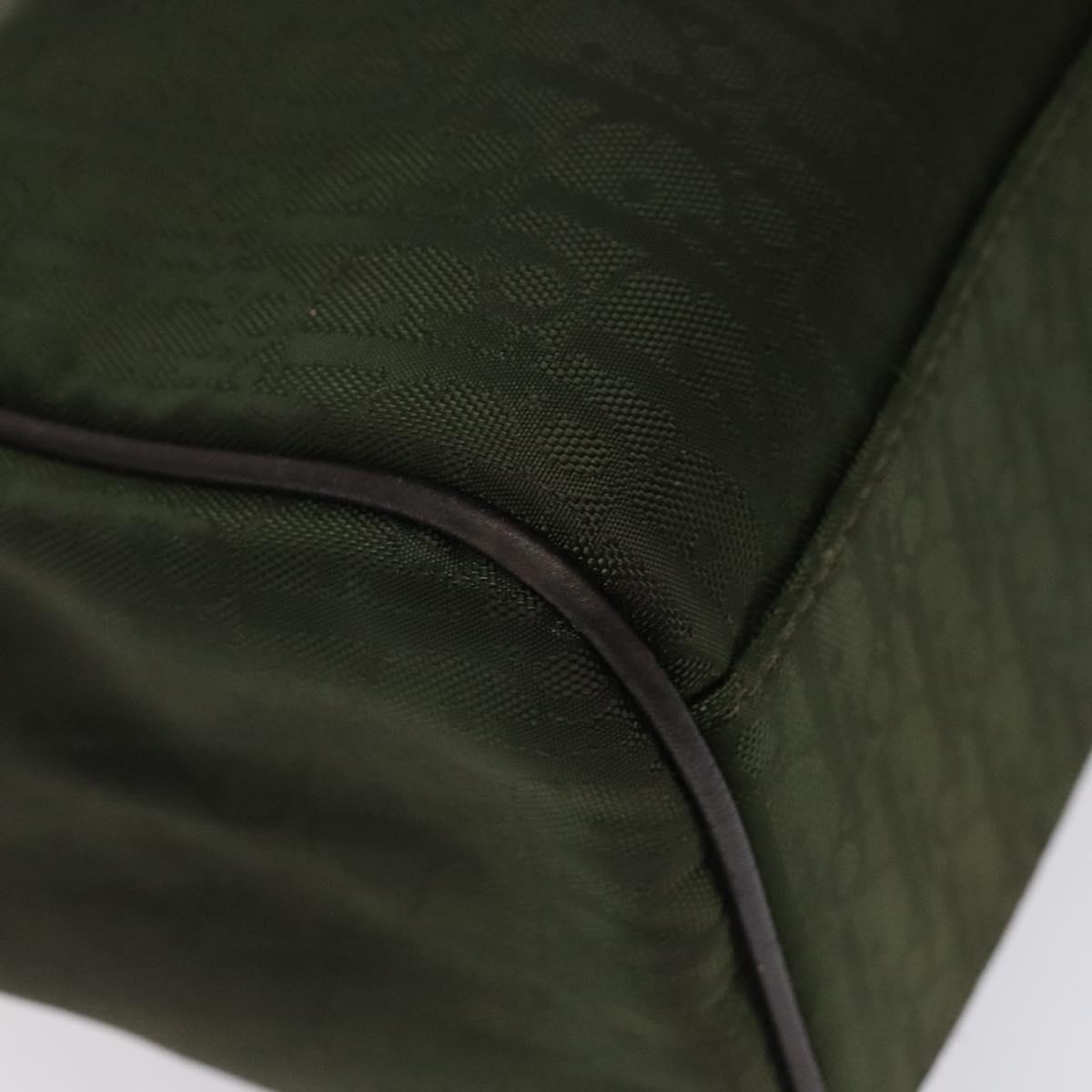 Dior Brown Nylon Trotter