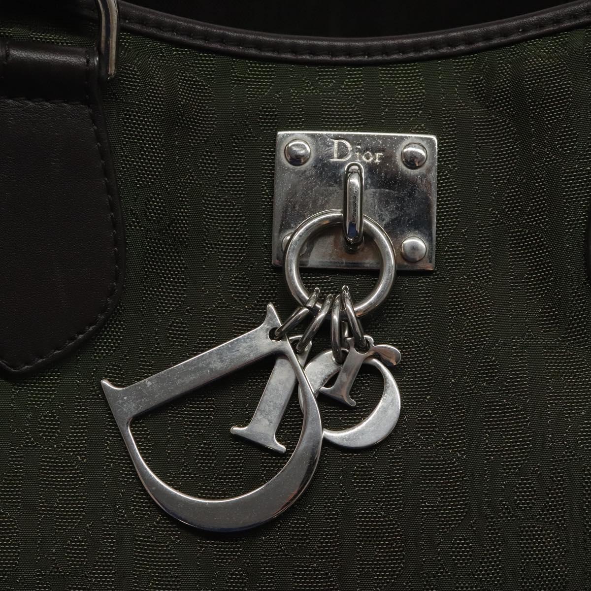 Dior Brown Nylon Trotter
