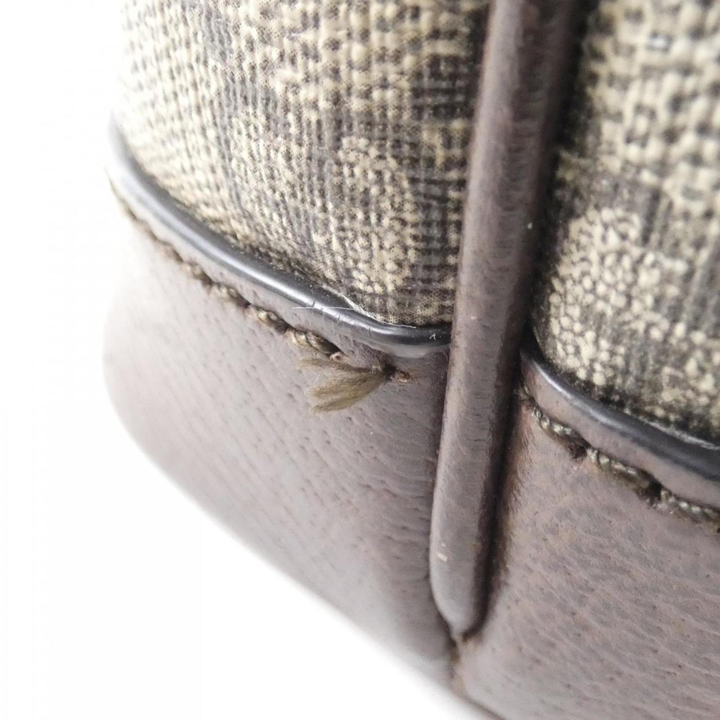 Gucci Brown Canvas Ophidia