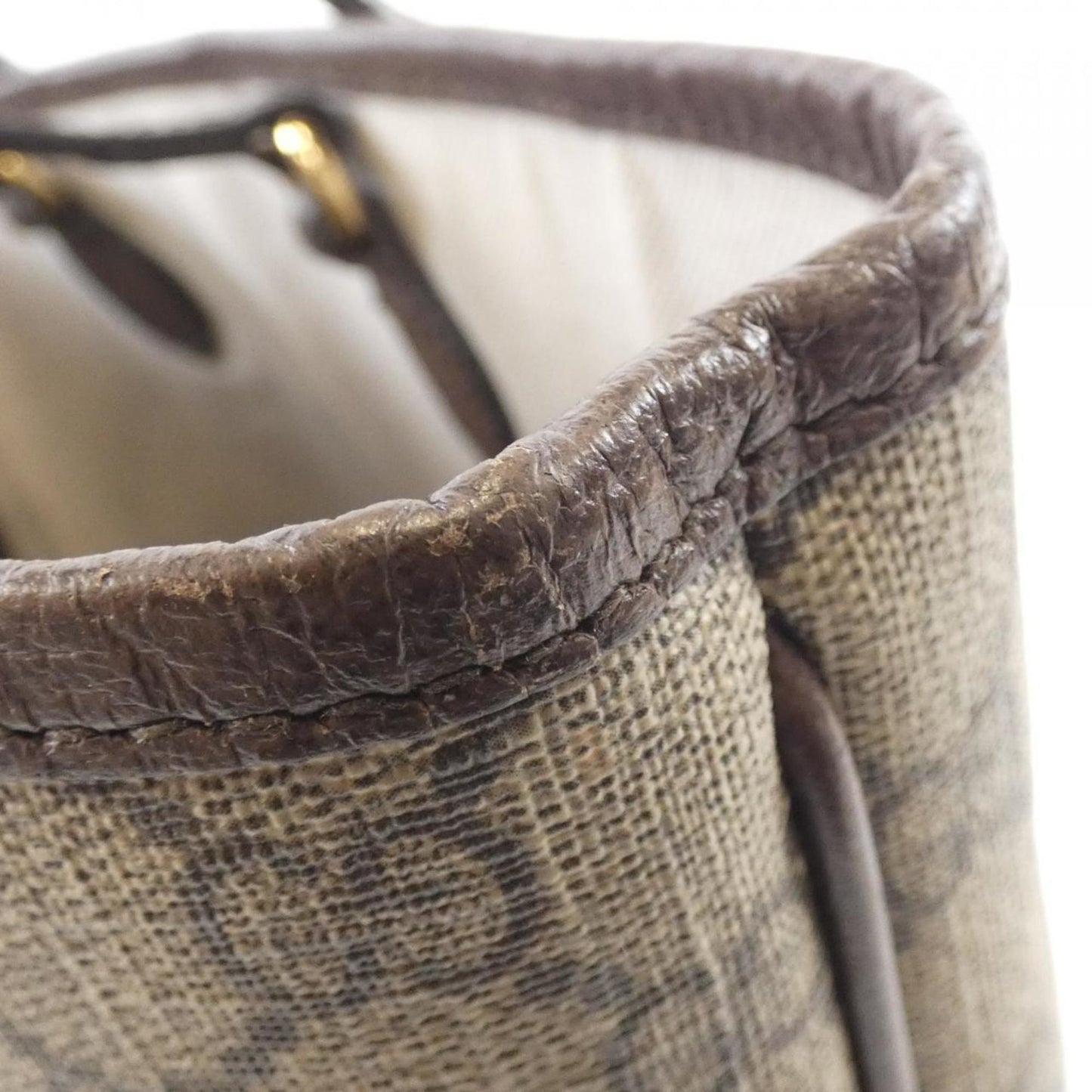 Gucci Brown Canvas Ophidia