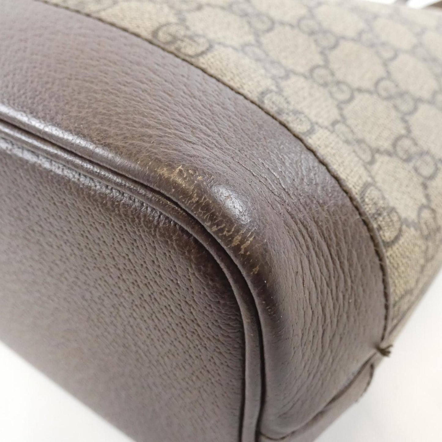 Gucci Brown Canvas Ophidia