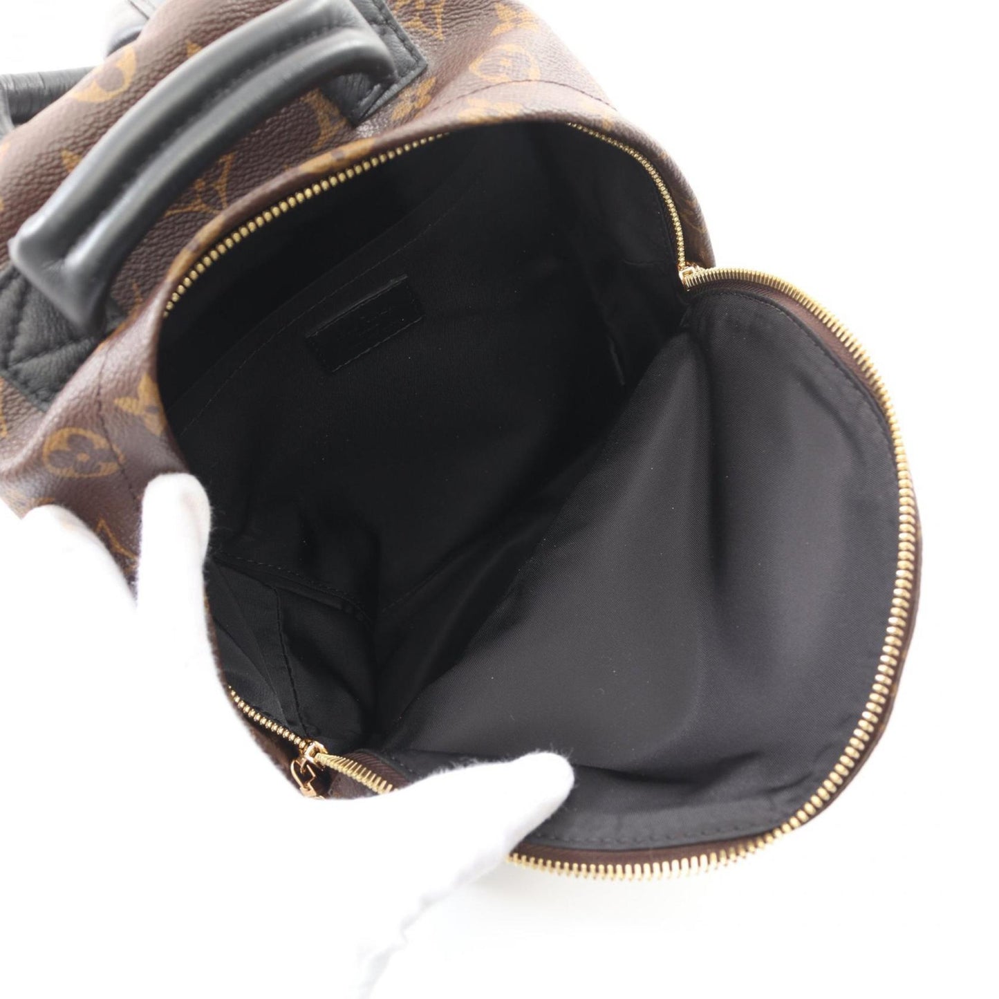 Louis Vuitton Brown Canvas Palm Springs