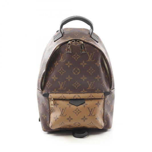 Louis Vuitton Brown Canvas Palm Springs