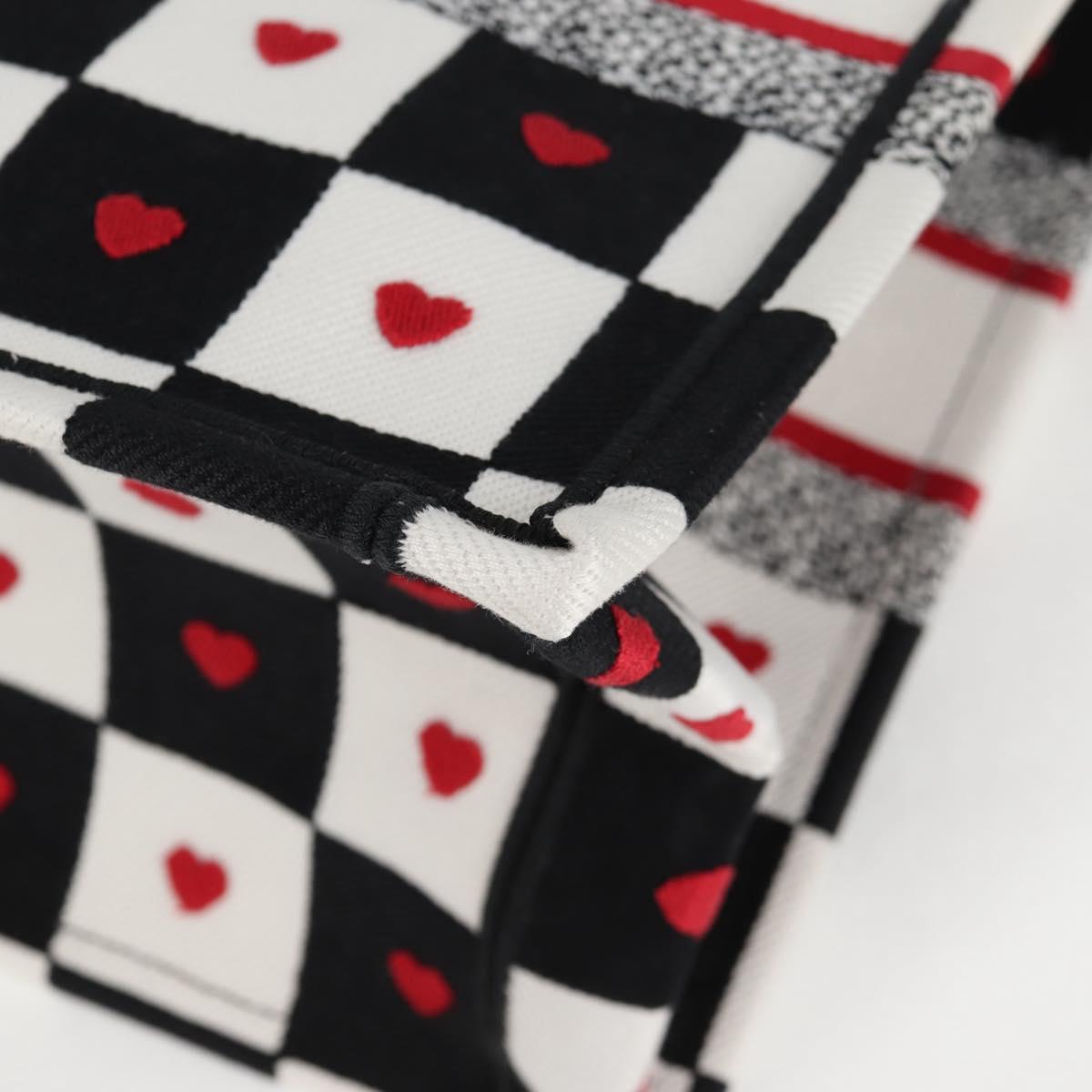Dior Multi Canvas Book Tote