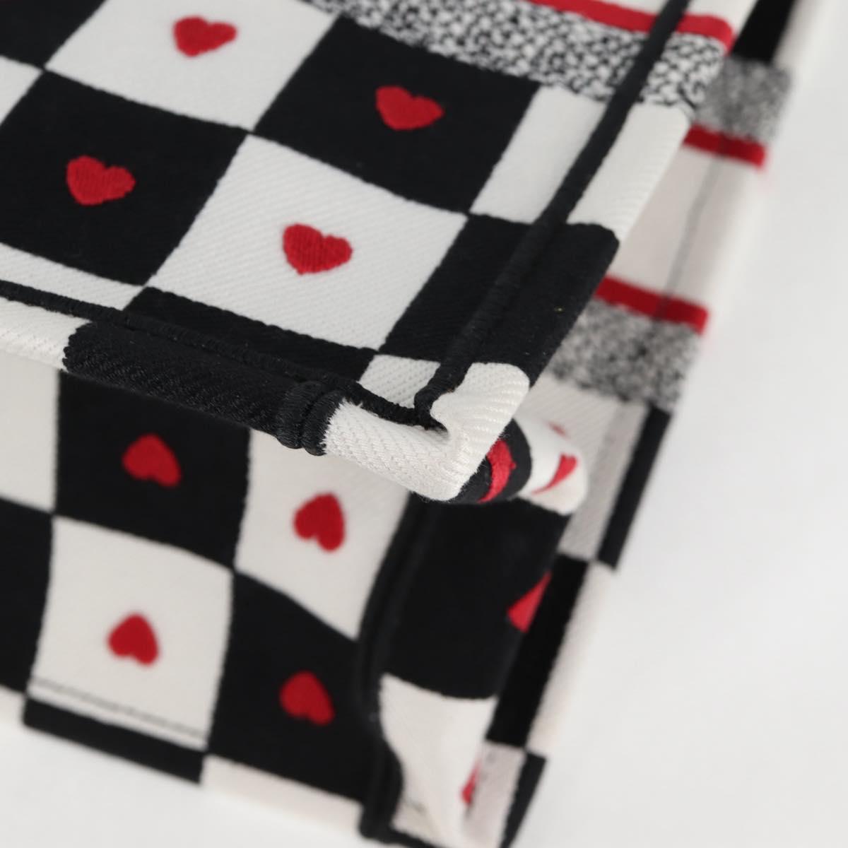 Dior Multi Canvas Book Tote