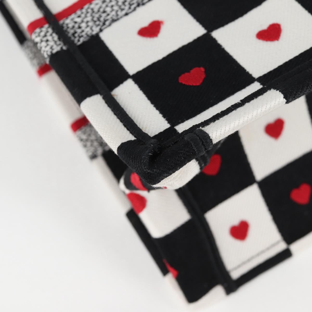 Dior Multi Canvas Book Tote