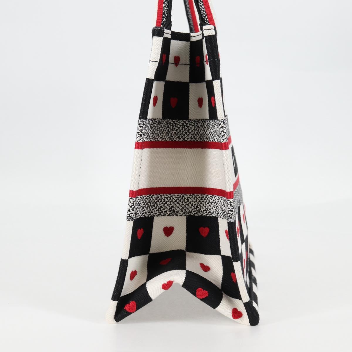 Dior Multi Canvas Book Tote