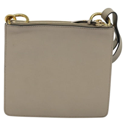 Chloé Gray Suede Jane