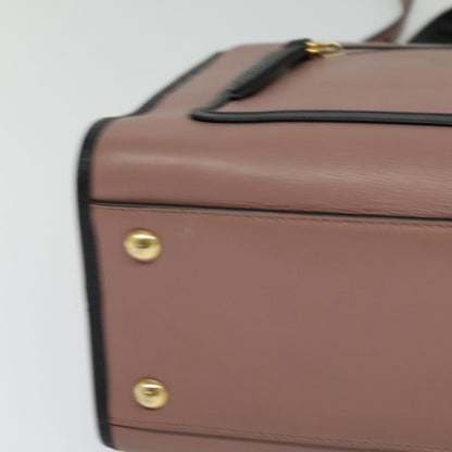 Fendi Pink Leather Runaway