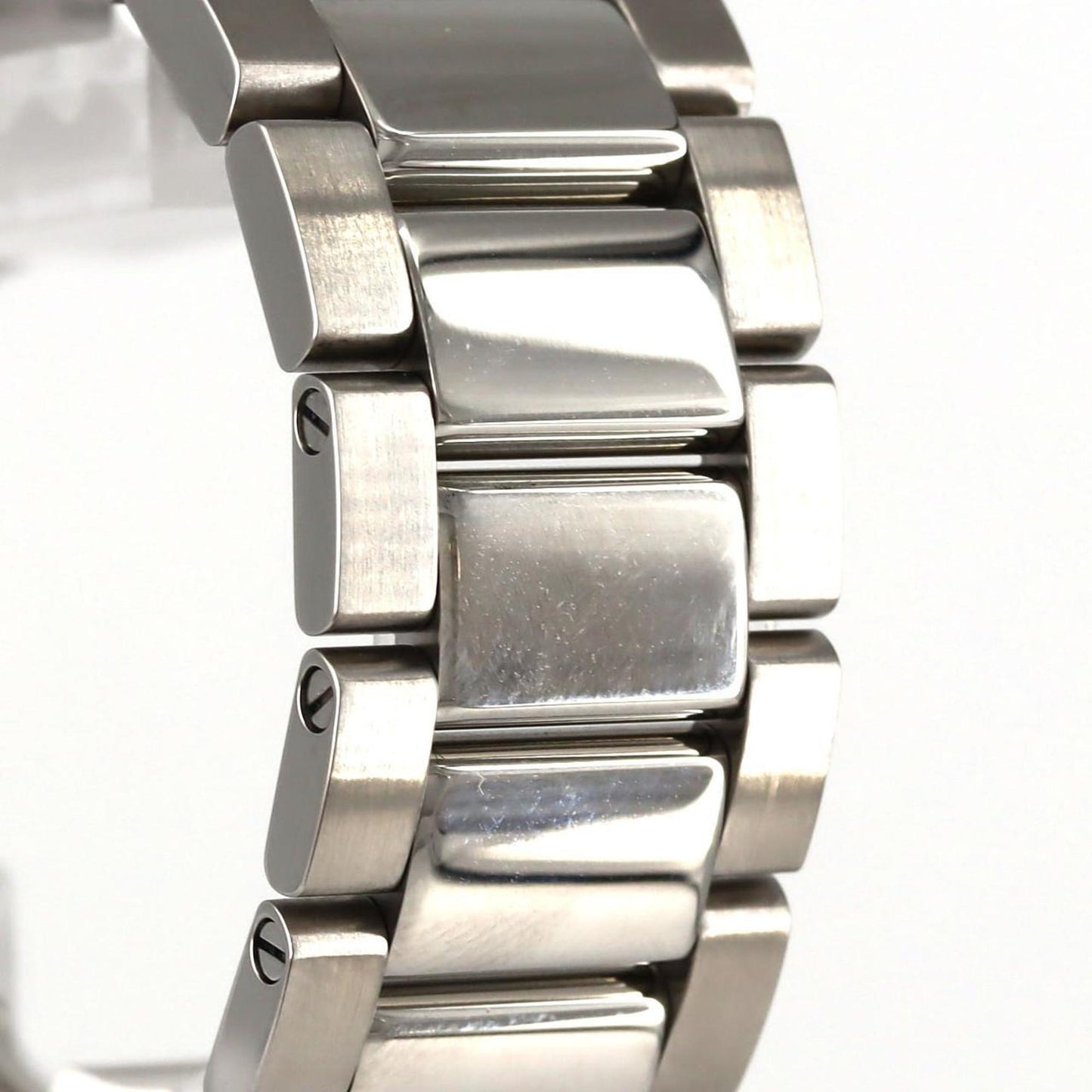Omega Silver Steel Aqua Terra
