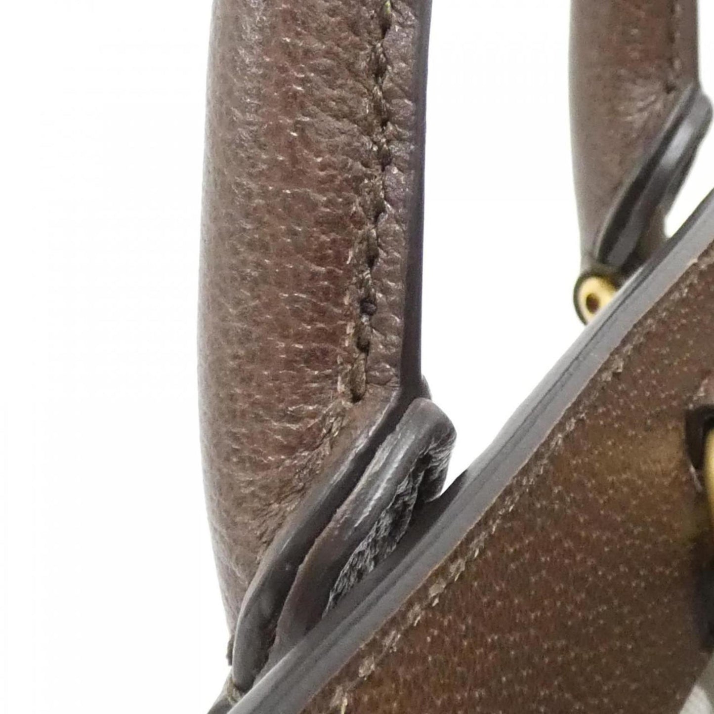 Gucci Brown Canvas Ophidia