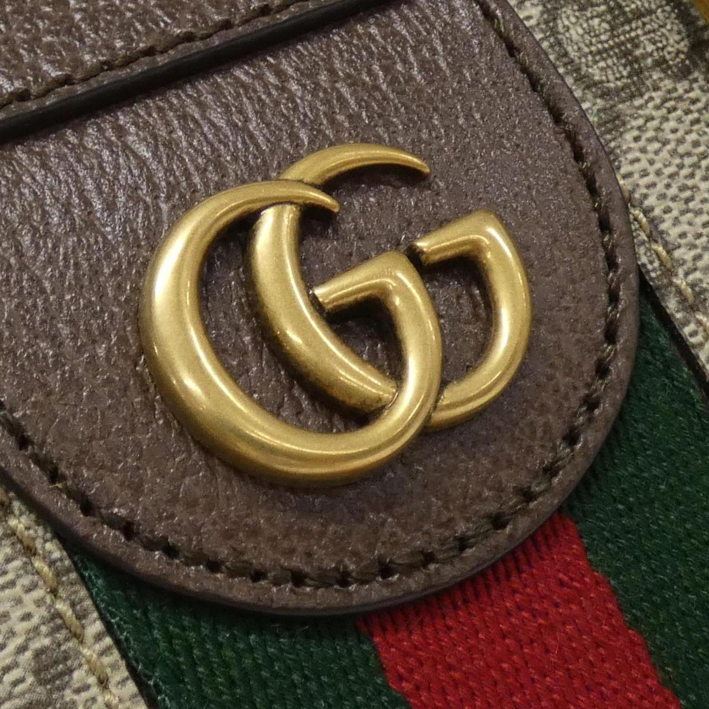 Gucci Brown Canvas Ophidia
