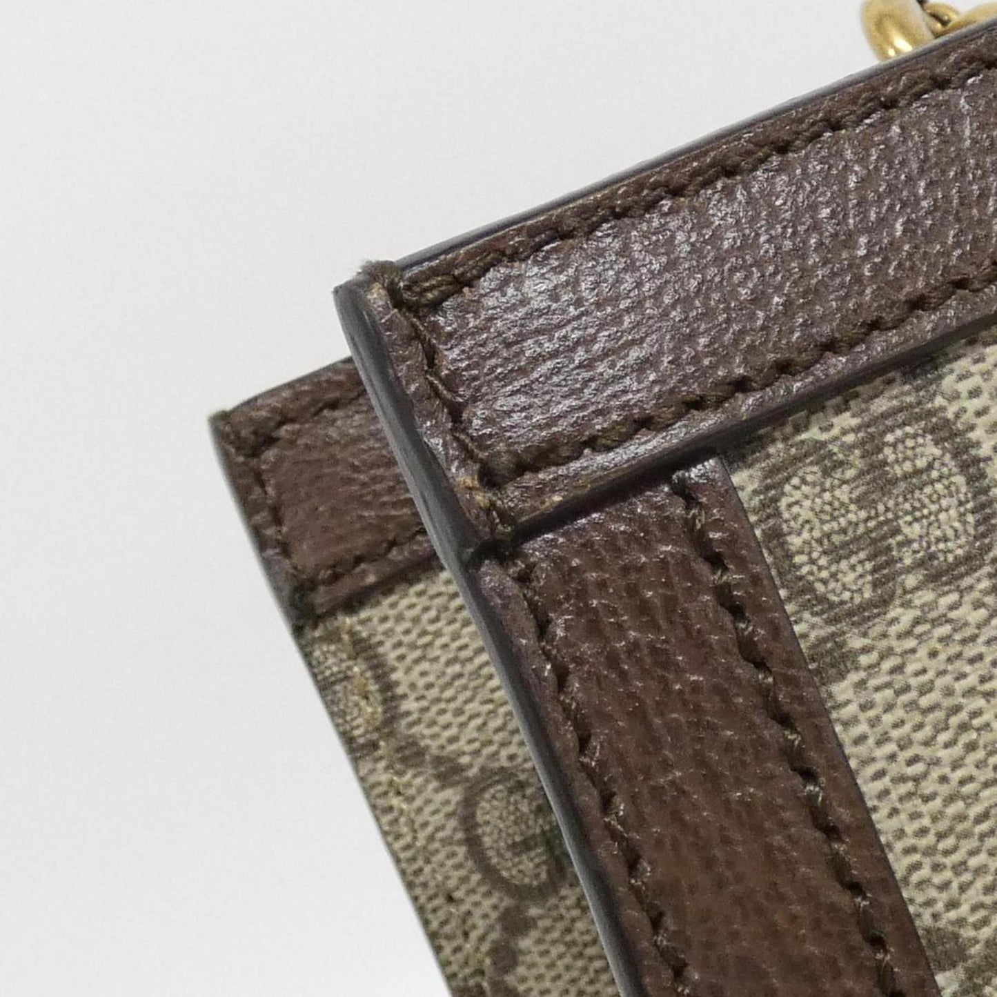 Gucci Brown Canvas Ophidia