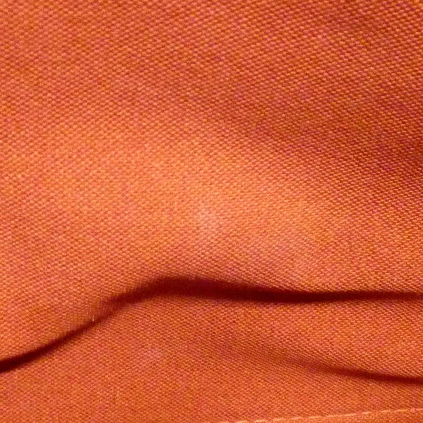 Louis Vuitton Brown Canvas Alma