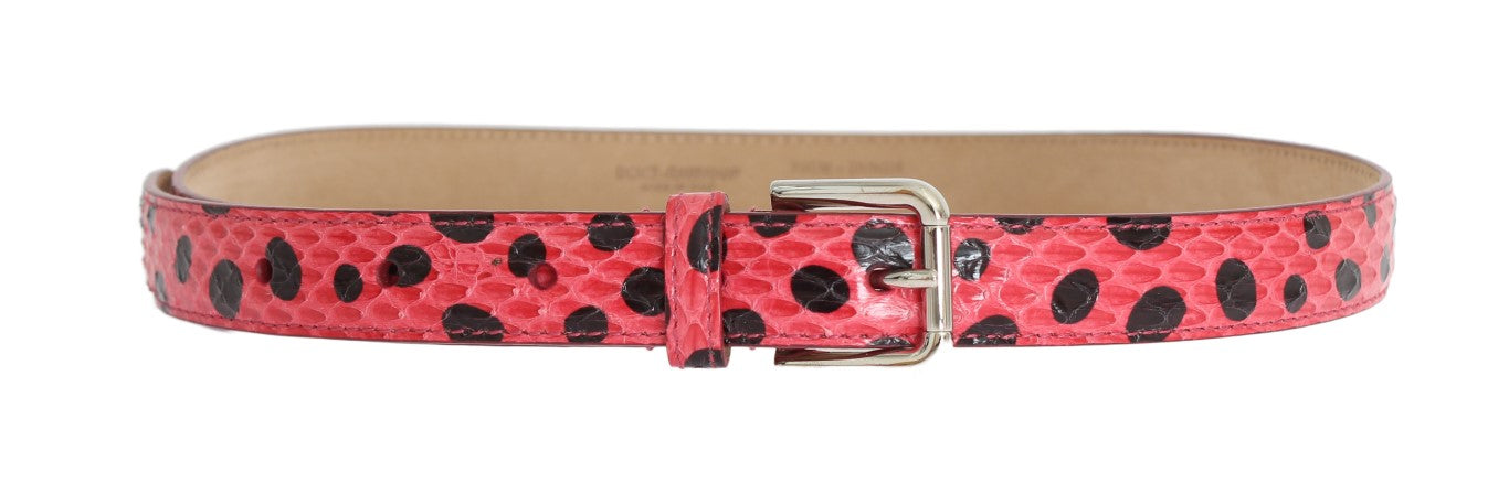 Dolce & Gabbana Polka Dot Snakeskin Belt With Silver Buckle