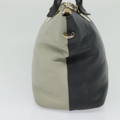Chloé Gray Leather Baylee