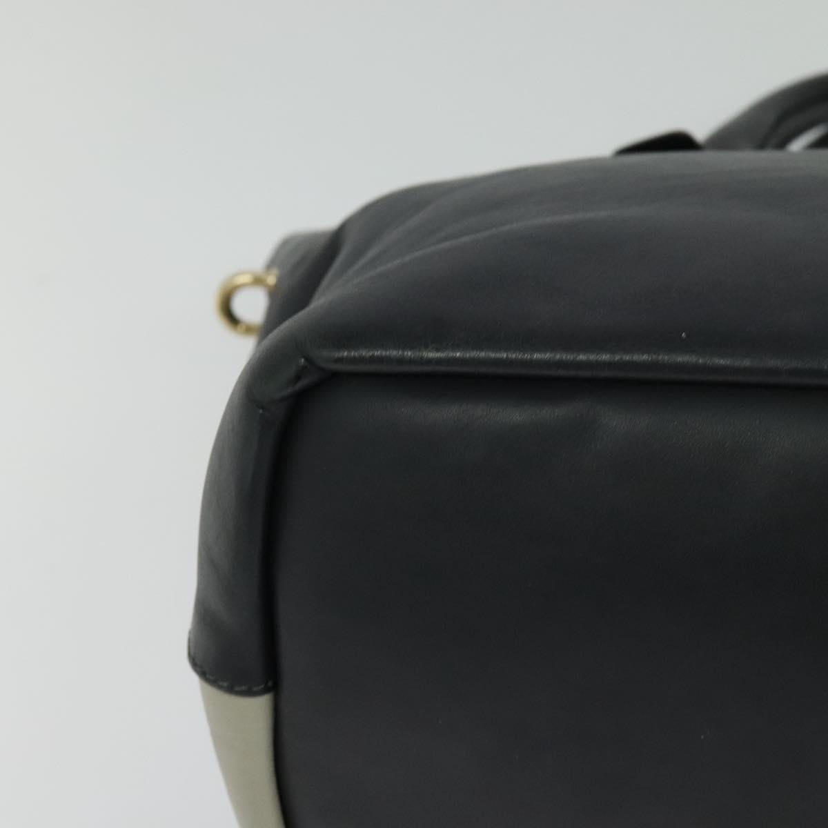 Chloé Gray Leather Baylee