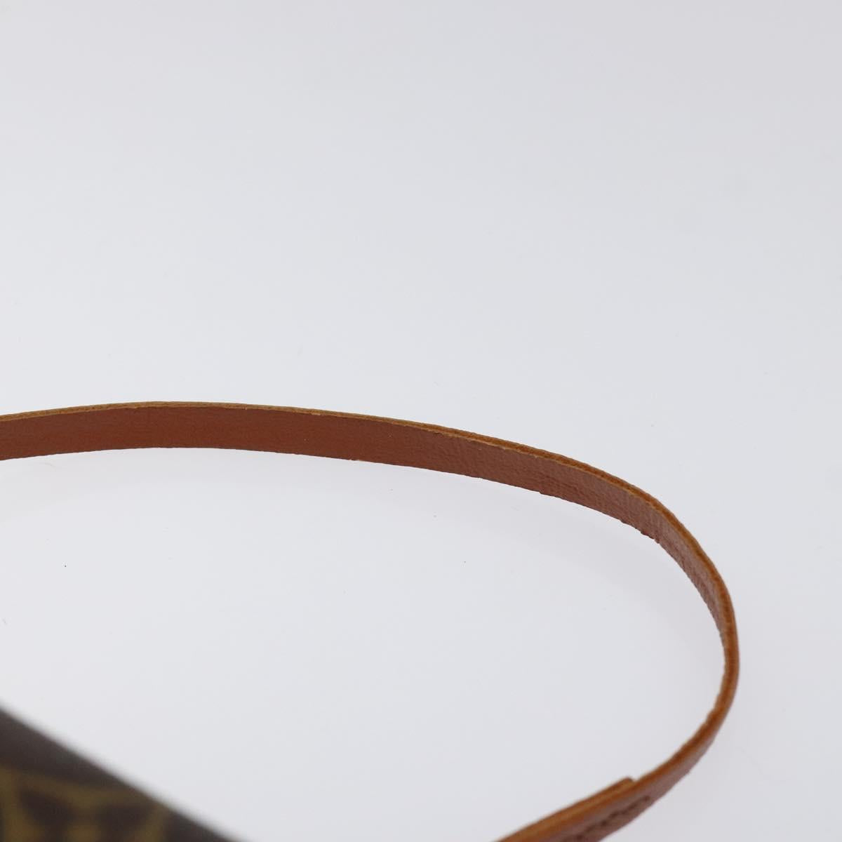 Louis Vuitton Brown Canvas Papillon