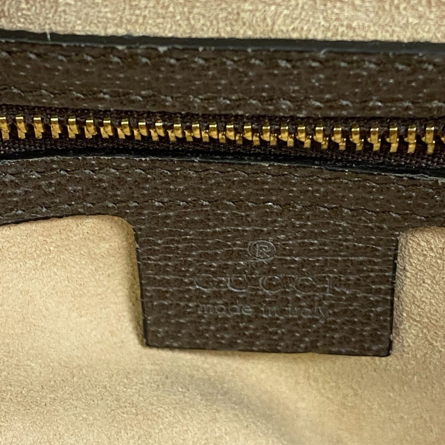 Gucci Brown Canvas Ophidia