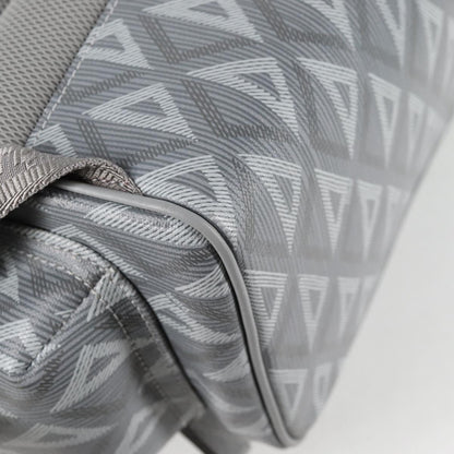 Dior Gray Canvas Backpack