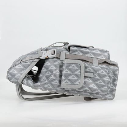 Dior Gray Canvas Backpack