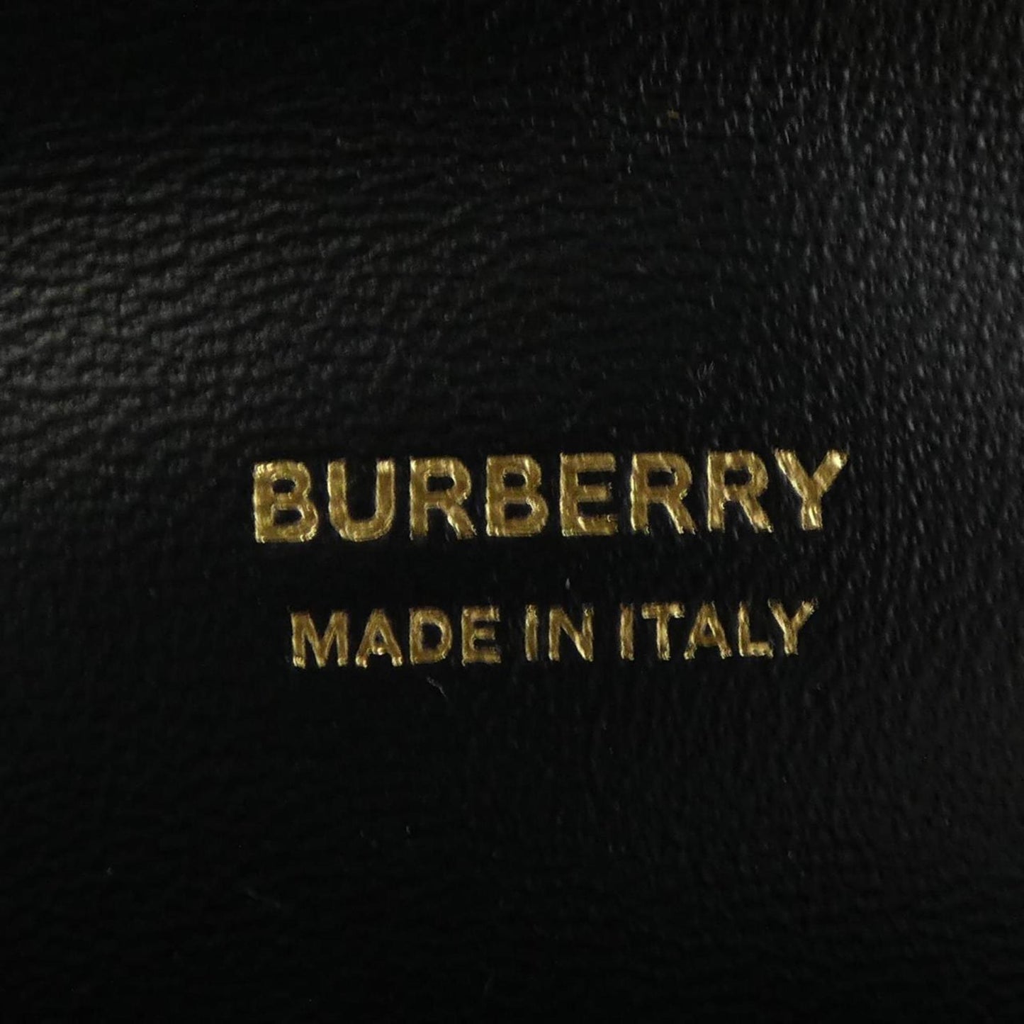 Burberry Multi Canvas Olympia