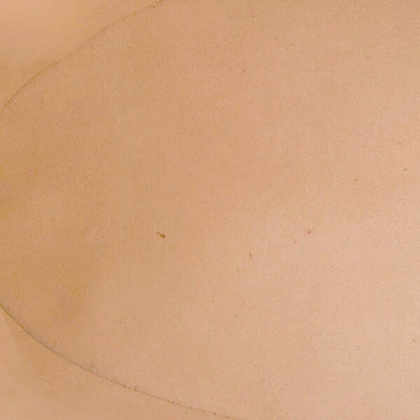 Gucci Brown Canvas Horsebit
