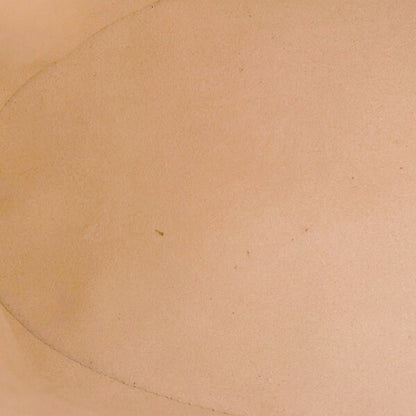 Gucci Brown Canvas Horsebit