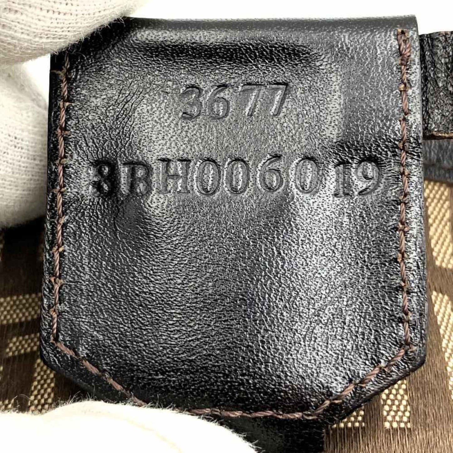 Fendi Brown Cotton Zucchino