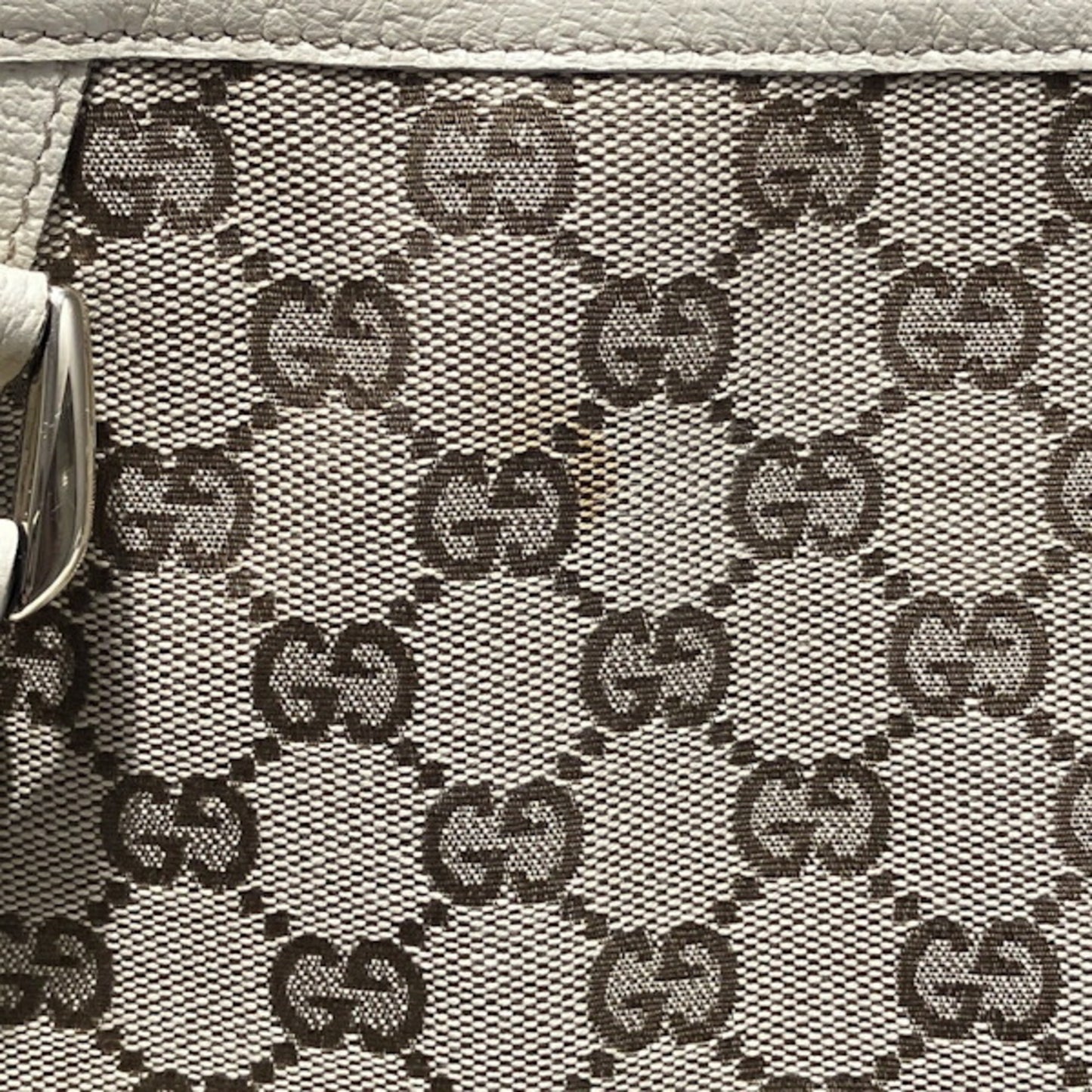 Gucci Brown Canvas Abbey
