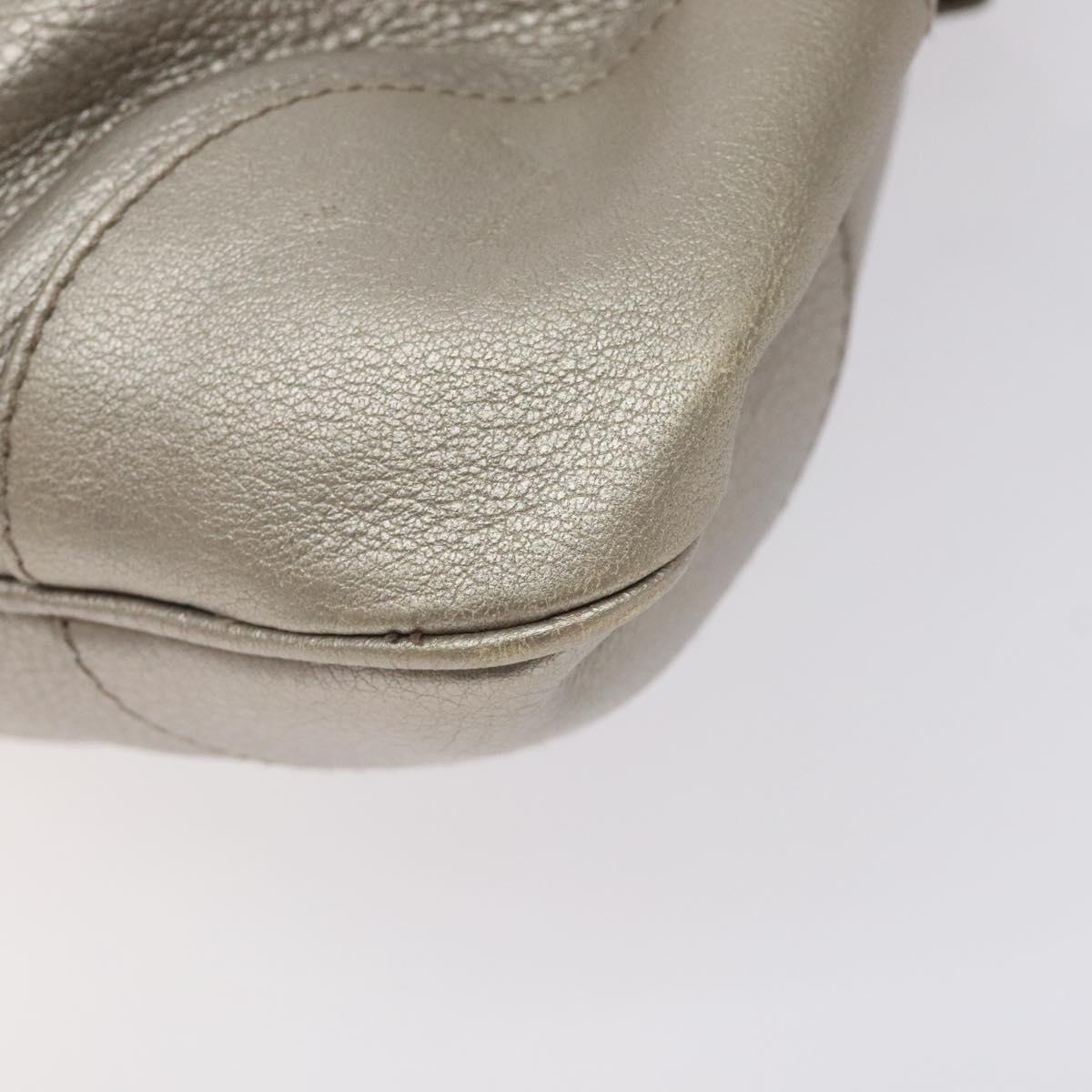 Salvatore Ferragamo Silver Leather Gancini