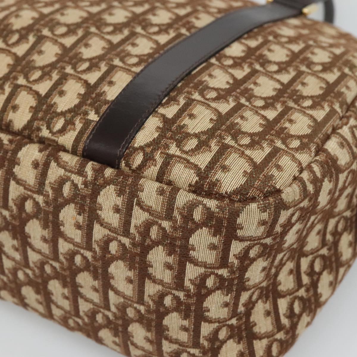Dior Brown Canvas Trotter