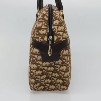 Dior Brown Canvas Trotter