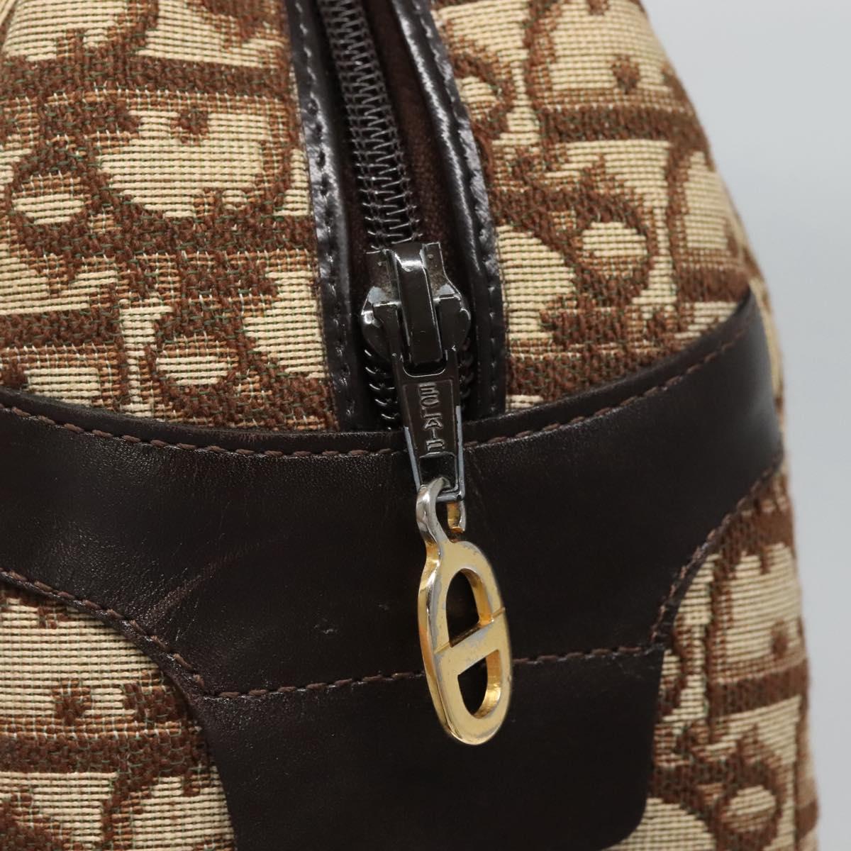 Dior Brown Canvas Trotter