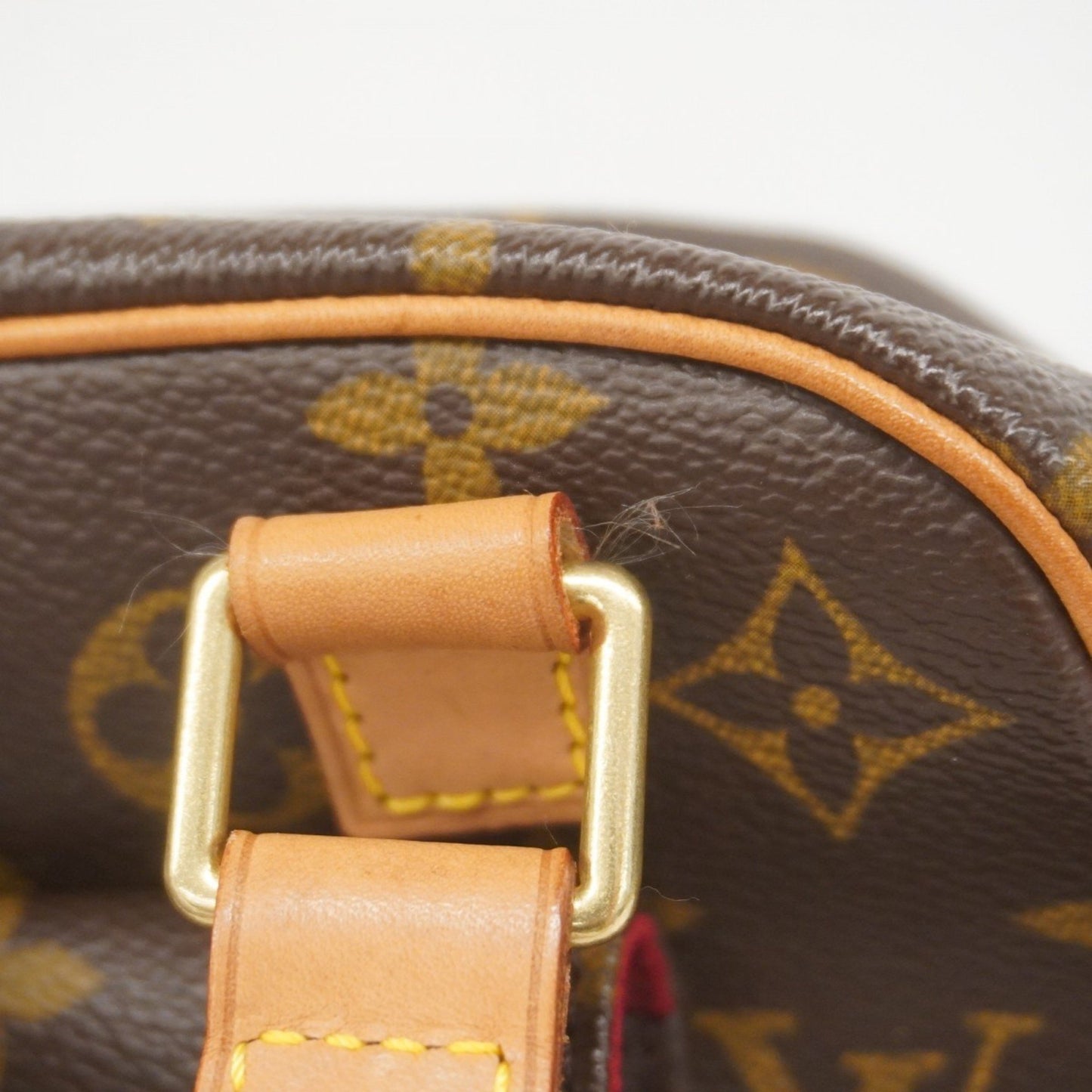 Louis Vuitton Brown Canvas Excentri Cité