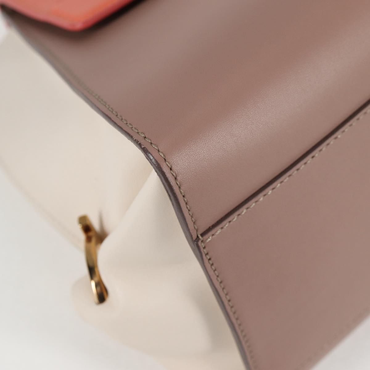 Salvatore Ferragamo Multi Leather Sofia