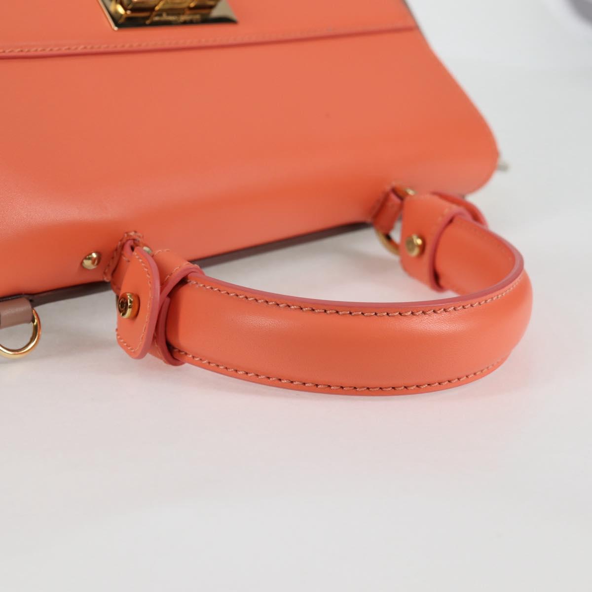 Salvatore Ferragamo Multi Leather Sofia