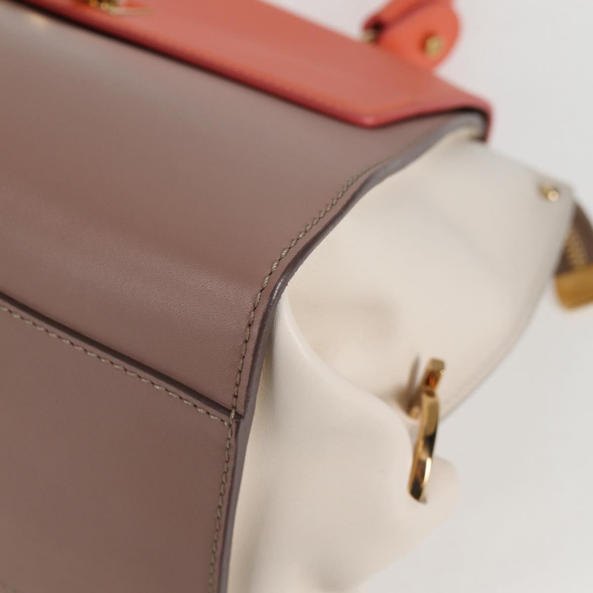 Salvatore Ferragamo Multi Leather Sofia