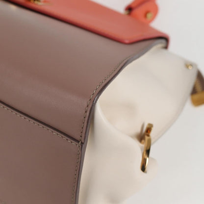 Salvatore Ferragamo Multi Leather Sofia