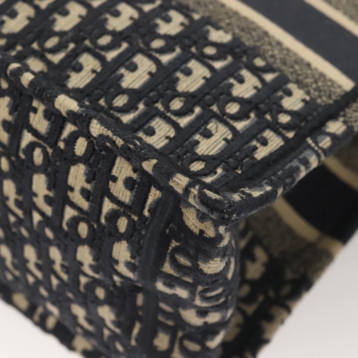 Dior Blue Canvas Book Tote