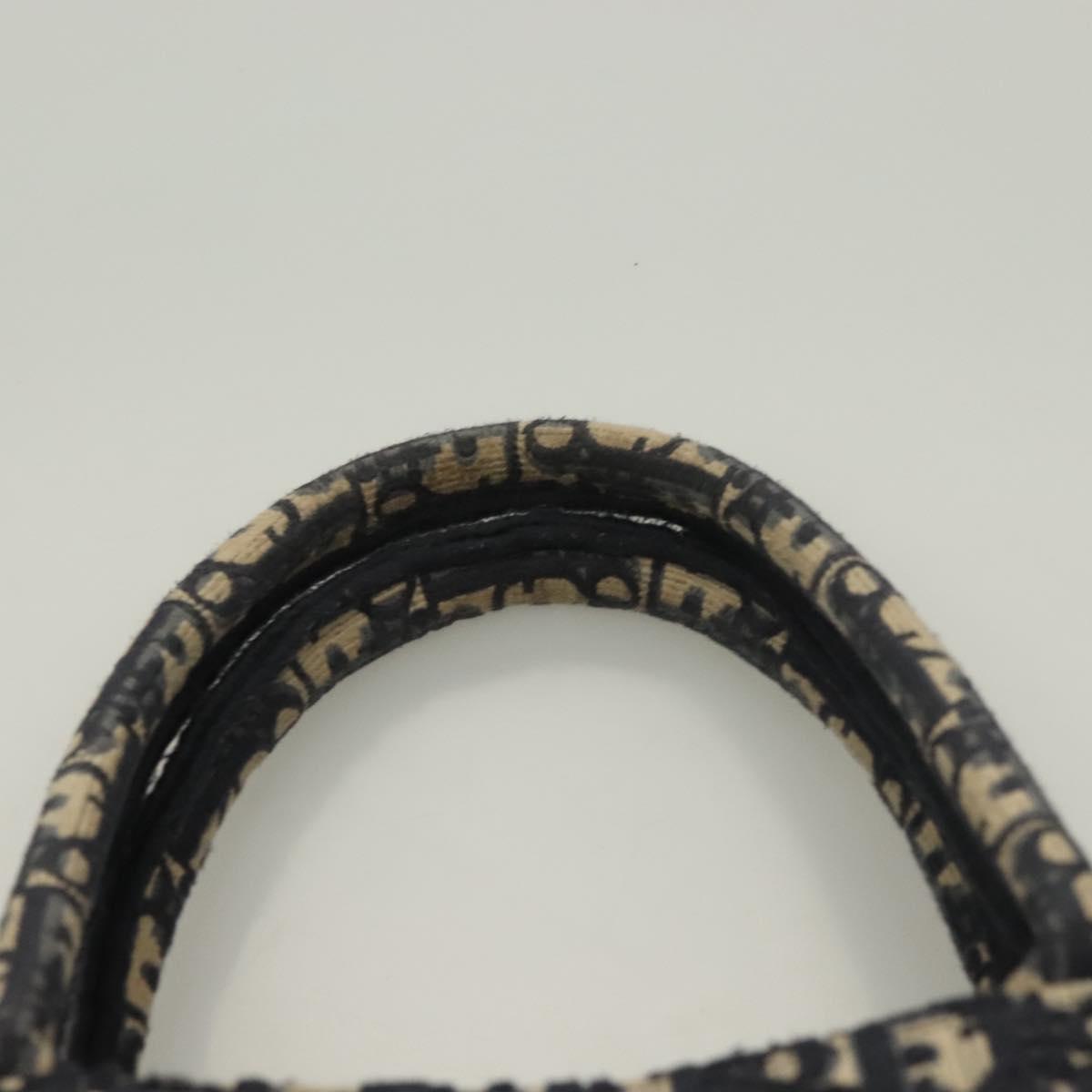 Dior Blue Canvas Book Tote