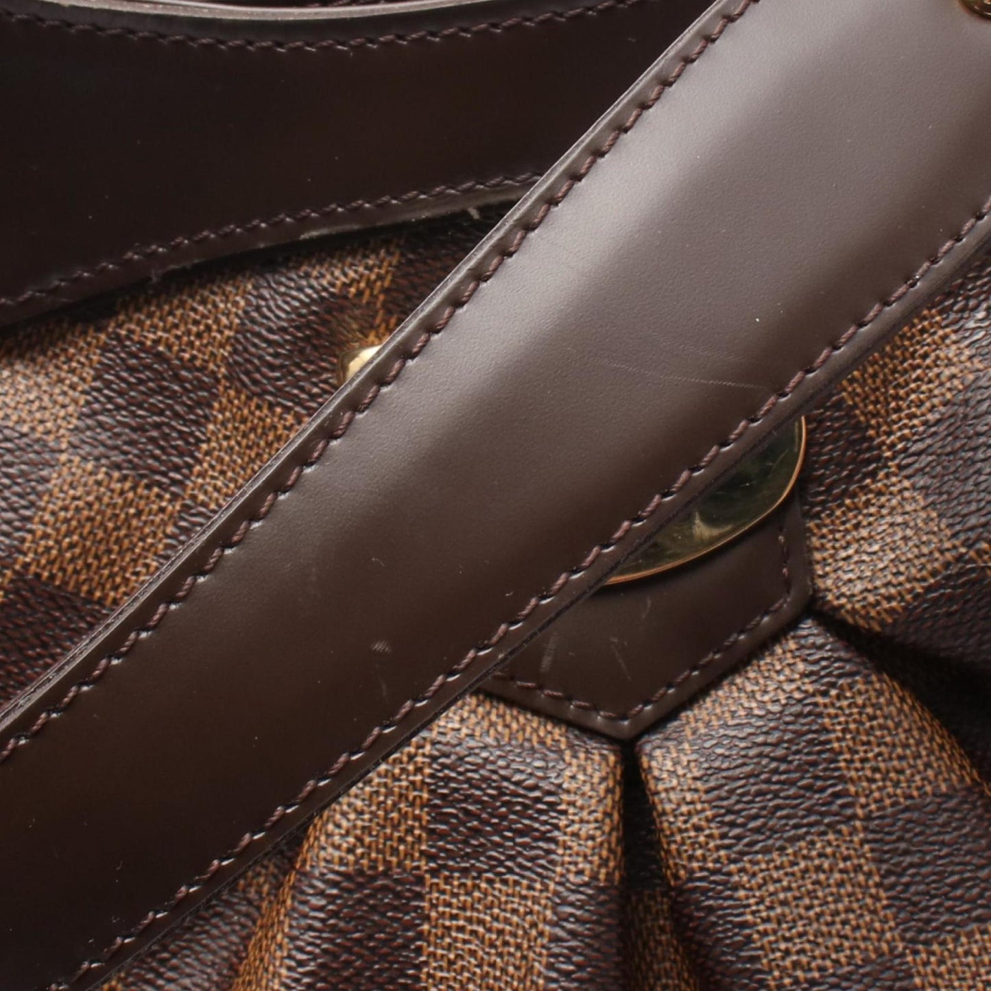 Louis Vuitton Brown Canvas Sistina