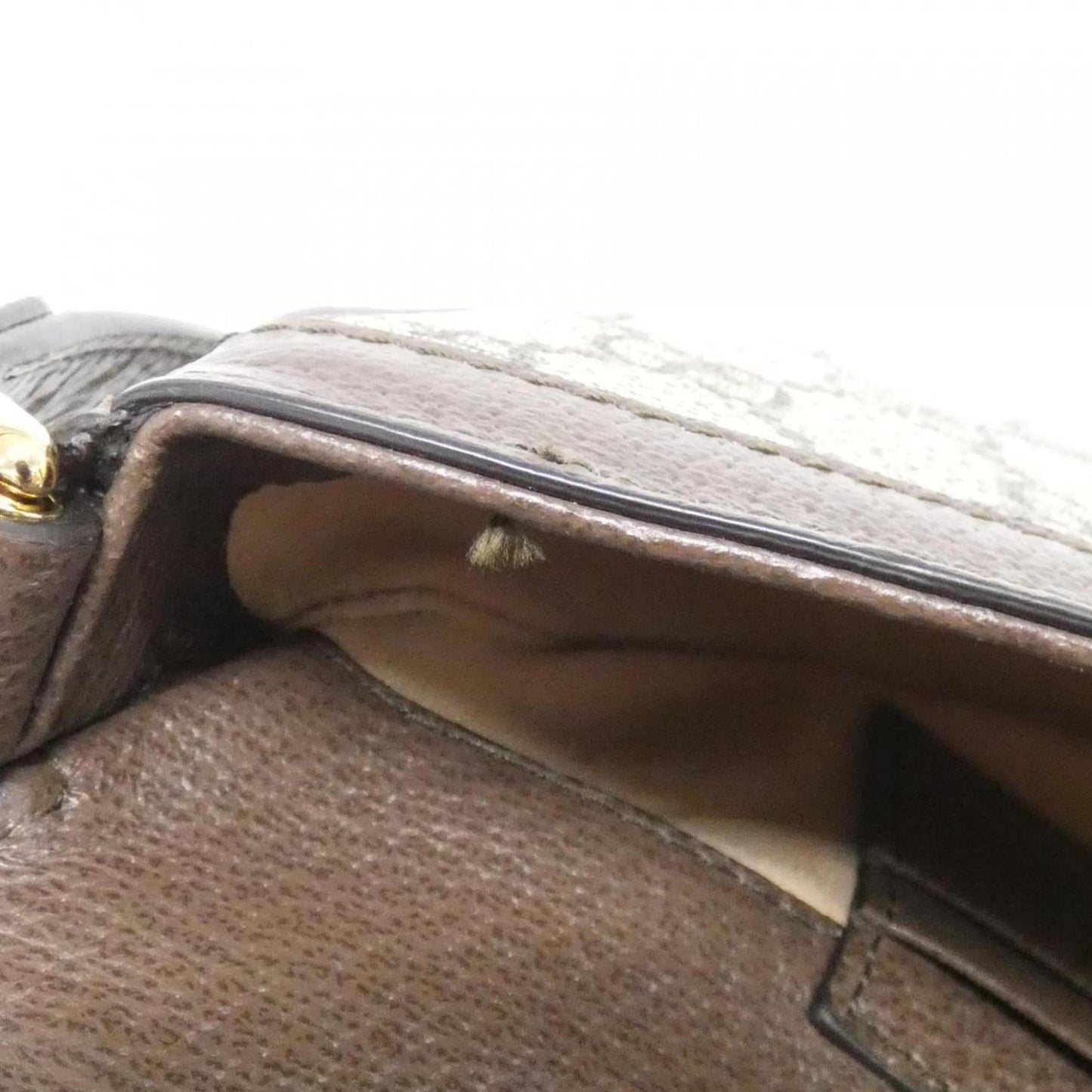 Gucci Brown Canvas Ophidia
