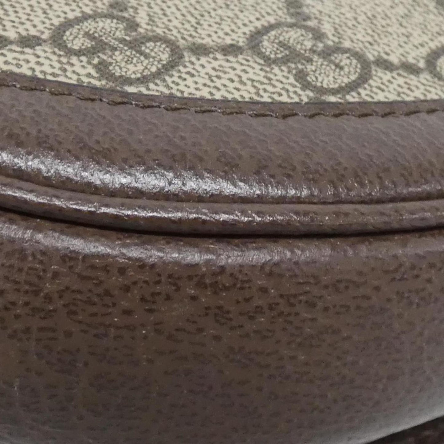 Gucci Brown Canvas Ophidia