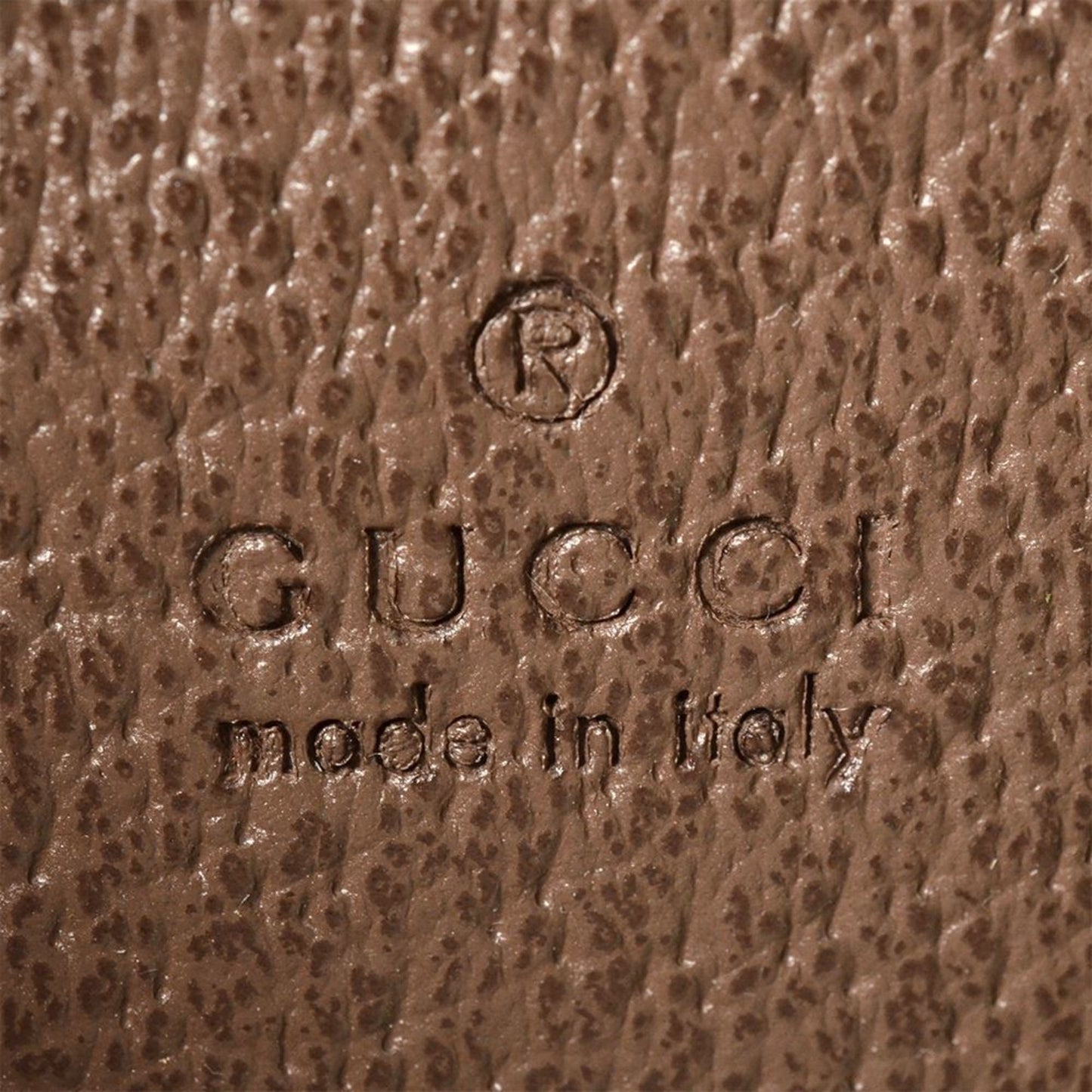 Gucci Brown Canvas Ophidia