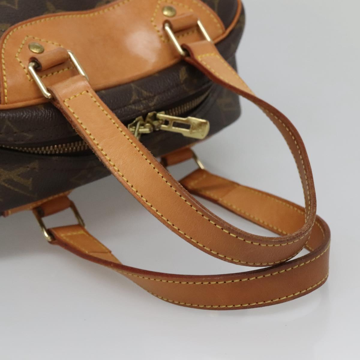 Louis Vuitton Brown Canvas Excursion